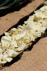 ��������� ������ � ����, �������