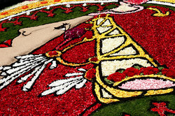 ��������� ������ � ����, �������