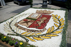 ��������� ������ � ����, �������