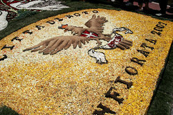 ��������� ������ � ����, �������