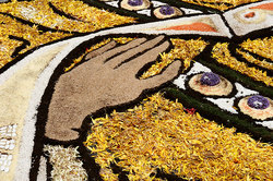 ��������� ������ � ����, �������