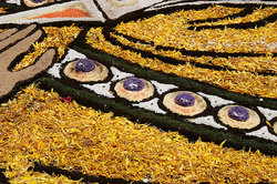 ��������� ������ � ����, �������