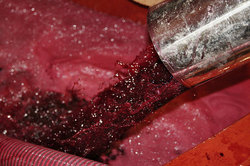 ������������ ����, �������