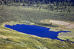 �������� ���������� �� ������� ������, ������