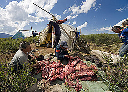 �������� ���������� �� ������� ������, �������� ���� ������