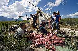 �������� ���������� �� ������� ������, �������� ���� ������