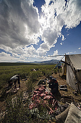 �������� ���������� �� ������� ������, ��� ����������, ������������� ����