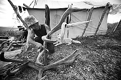 �������� ���������� �� ������� ������, �������� ���� ������