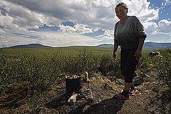 �������� ���������� �� ������� ������, ��� ����������, ������������� ����