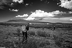 �������� ���������� �� ������� ������, �������� ���� ������