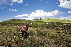 �������� ���������� �� ������� ������, �������� ���� ������