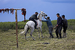 �������� ���������� �� ������� ������, ���������� ������