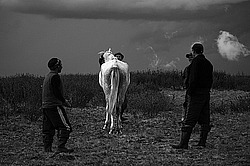 �������� ���������� �� ������� ������, ���������� ������