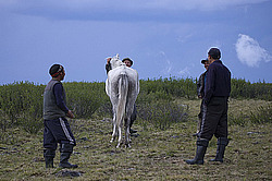 �������� ���������� �� ������� ������, ���������� ������