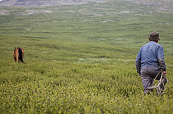 �������� ���������� �� ������� ������, ���������� ������