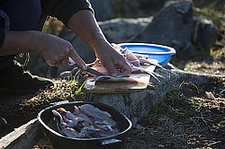 �������� ���������� �� ������� ������, ��� ����������, ������������� ����