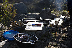 �������� ���������� �� ������� ������, ��� ����������, ������������� ����