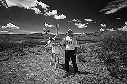 �������� ���������� �� ������� ������, ������� ���������