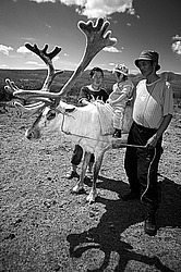 �������� ���������� �� ������� ������, ������� ���������