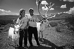 �������� ���������� �� ������� ������, ������� ���������