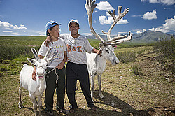 �������� ���������� �� ������� ������, ������� ���������