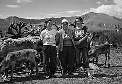 �������� ���������� �� ������� ������, ������� ���������