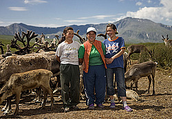 �������� ���������� �� ������� ������, ������� ���������