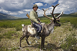 �������� ���������� �� ������� ������, ������� ���������