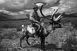 �������� ���������� �� ������� ������, ������� ���������