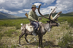 �������� ���������� �� ������� ������, ������� ���������