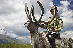 �������� ���������� �� ������� ������, ������� ���������