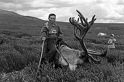 �������� ���������� �� ������� ������, ������� ���������