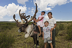 �������� ���������� �� ������� ������, ������� ���������