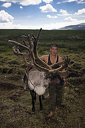 �������� ���������� �� ������� ������, ������� ���������