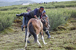 �������� ���������� �� ������� ������, ���������� ������