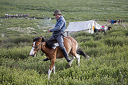 �������� ���������� �� ������� ������, ���������� ������