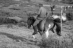 �������� ���������� �� ������� ������, ���������� ������