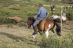 �������� ���������� �� ������� ������, ���������� ������