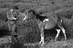 �������� ���������� �� ������� ������, ���������� ������