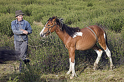 �������� ���������� �� ������� ������, ���������� ������