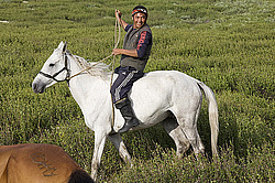 �������� ���������� �� ������� ������, ���������� ������