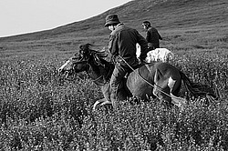 �������� ���������� �� ������� ������, ���������� ������