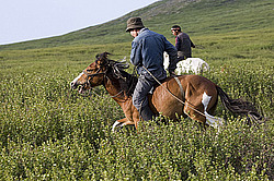 �������� ���������� �� ������� ������, ���������� ������