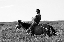 �������� ���������� �� ������� ������, ���������� ������