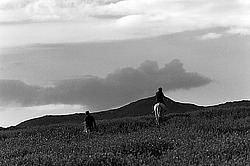 �������� ���������� �� ������� ������, ���������� ������