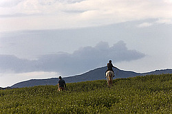 �������� ���������� �� ������� ������, ���������� ������