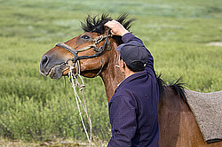 �������� ���������� �� ������� ������, ���������� ������