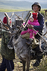 �������� ����� (Rangifer tarandus) � ����. �������� ����������, ������� �����, ����, ������
