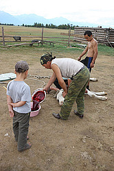 �������, ���� 2009