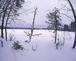 ����������� ������������ ����, ����� ����������, ������ �� ������� - ������������ ���������